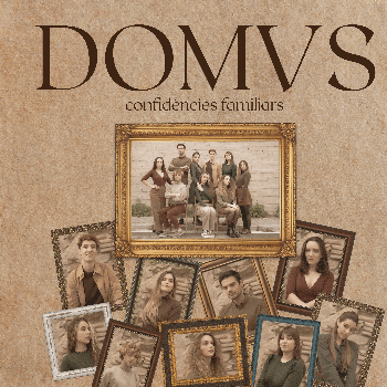 DOMVS