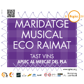 MARIDATGE MUSICAL ECO RAIMAT