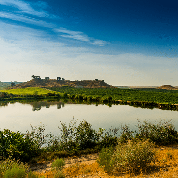 ECODESCOBERTA A L'ESPAI NATURA DE RAIMAT
