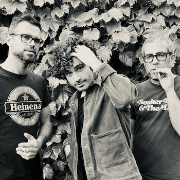 VIU L'ESTIU. CONCERT AMB ELÈCTRIC
