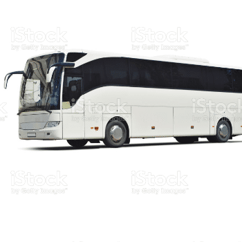 NIT BUS - CONCERT JOVE FESTA MAJOR CAPELLADES
