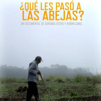 ¿Qué les pasó a las abejas? Cinema a la fresca amb valors a Ribes de Freser