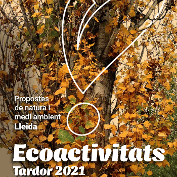 Punt d'observació +Biodiversitat. Artròpodes a la ciutat