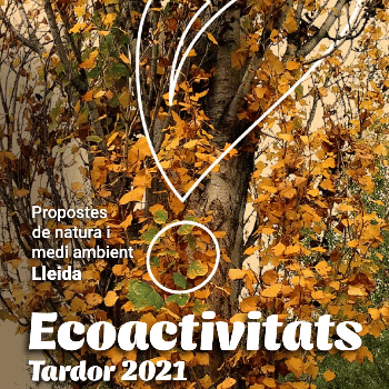 Ecodescoberta. Visita guiada a la Mitjana. Els ocells migradors