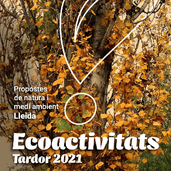 Punt d'observació +Biodiversitat. Els bolets i líquens el bosc de ribera
