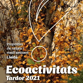 Ecodescoberta. Visita guiada a la Mitjana. La tardor a la Mitjana