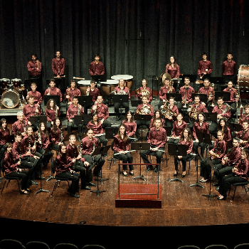 BANDA DE L'AGRUPACIÓ MUSICAL DE CERDANYOLA Un diumenge de musicals a l'Aliança