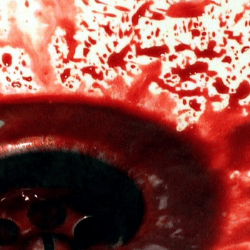 NIT DE TERROR - TALLER SANG I FETGE