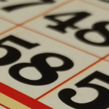 NIT DE TERROR - BINGO DE TERROR