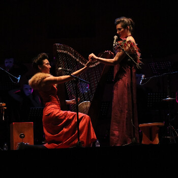 Concert de Formiga and Cigale feat La Principal de Tarragona