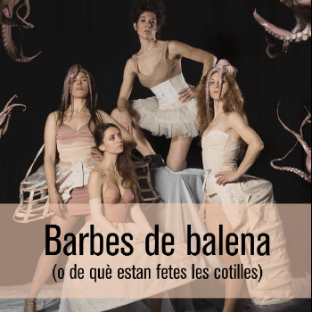 Barbes de balena