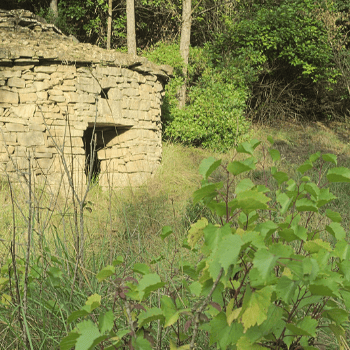 Natura, història i llegendes a Sant Jaume de Vallhonesta