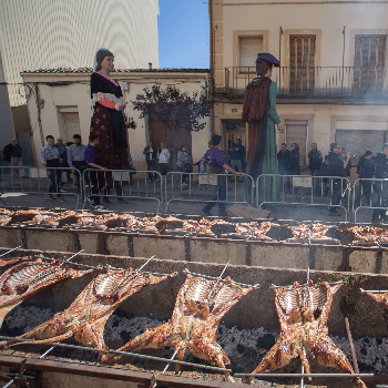 Dinar popular Pallars terra de corder