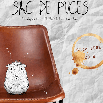 Sac de Puces