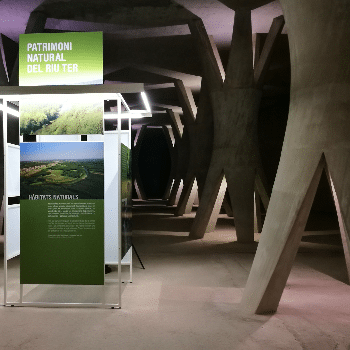 Visita a la Sala de les Columnes - Setembre 2022