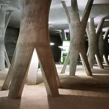 Visita a la Sala de les Columnes - Octubre 2022