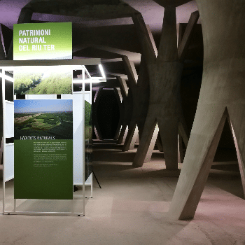 Visita a la Sala de les Columnes - Novembre 2022