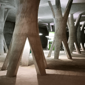 Visita a la Sala de les Columnes - Novembre 2022