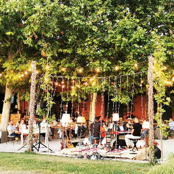 RUBBERSOSUL presenten THE BEATLES TRIBUTE - Concert Picnic a La Torre del Gall
