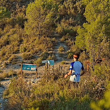 Pujada al Puigsoler