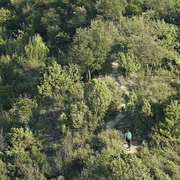 Pujada al Puigsoler