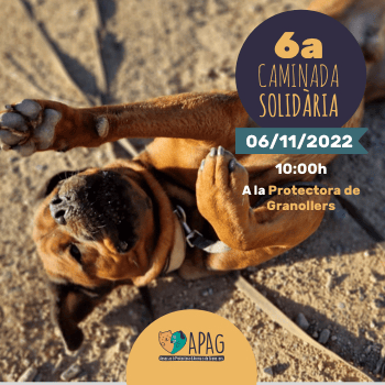 6a Caminada Solidària Canina Protectora Granollers