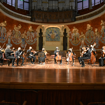Concert de Nadal Orquestra Cambra Terrassa 48