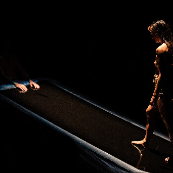 EP (Extended Performance): Cia. Palimsesta, Cia. Papaya i Cie. Los Putos Makinas
