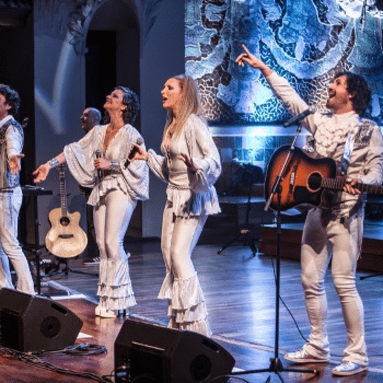 ABBA THE NEW EXPERIENCE