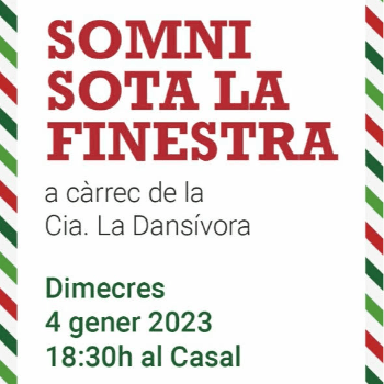 SOMNI SOTA LA FINESTRA
