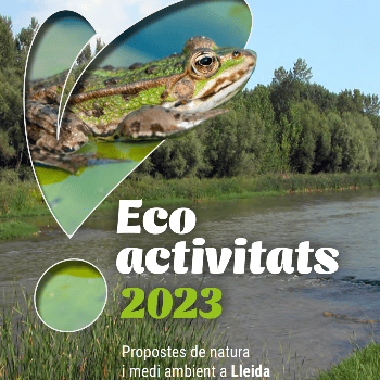 Ecodescoberta. Coneixes els arbres dels carrers de Lleida? - Ecoactivitats 2023