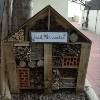 Taller d'hotel d'insectes