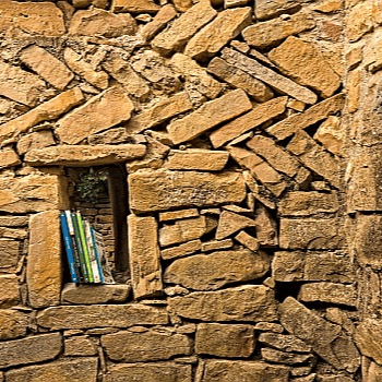 Passejada de Sant Jordi (amb un llibre a la motxilla)