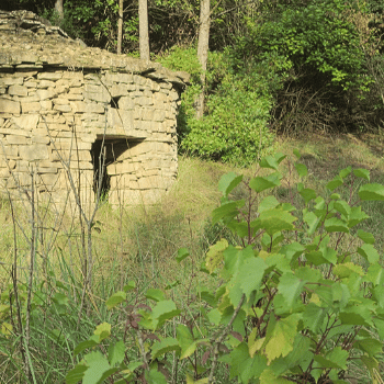 Natura, història i llegendes a Sant Jaume de Vallhonesta