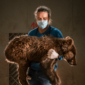 MontPhoto Fest 2023. 1ª jornada
