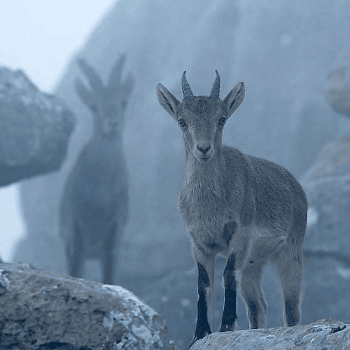 MontPhoto Fest 2023. 1ª jornada
