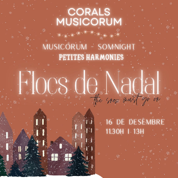 Flocs de Nadal: the snow must go on 11.30h