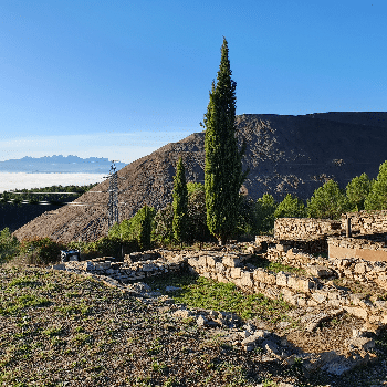 Tasta la terra dels ibers