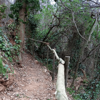 CAMINADA