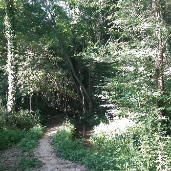 CAMINADA