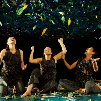 Sotabosc de la Cia. Inspira Teatre