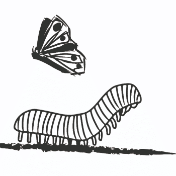 C.U.C.S.