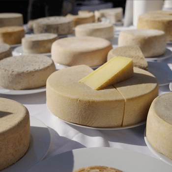 Tast de Formatges Guanyadors - Fòrum del Formatge Artesà i Català