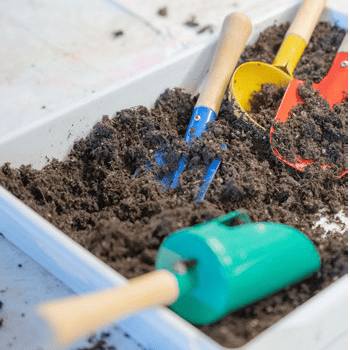 Taller. Les varietats tradicionals, com conservar les pròpies llavors i com fer-nos el planter? - Ecoactivitats 2025