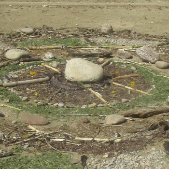 Land art al Parc de la Mitjana - Ecoactivitats 2025