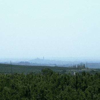 Ecodescoberta. La fertilitat dels sòls agraris: Quins sòls trobem a l'Horta de Lleida? - Ecoactivitats 2025