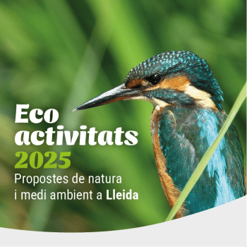 Ecodescoberta. Visita a un edifici bioclimàtic de Lleida - Ecoactivitats 2025