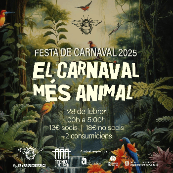 Festa Carnaval 2025