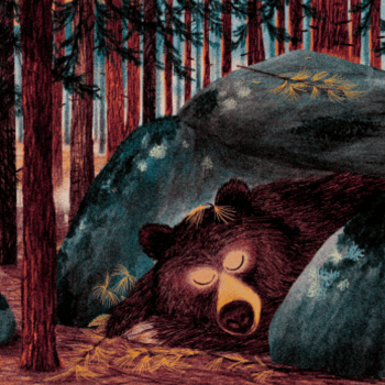 Estris i Contes: dins el Bosc