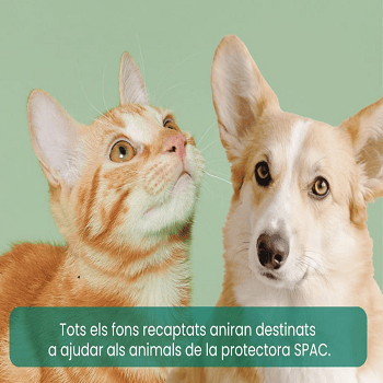 Gala benéfica de dansa a favor de SPAC